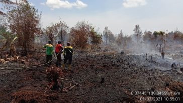 bakar saja 1